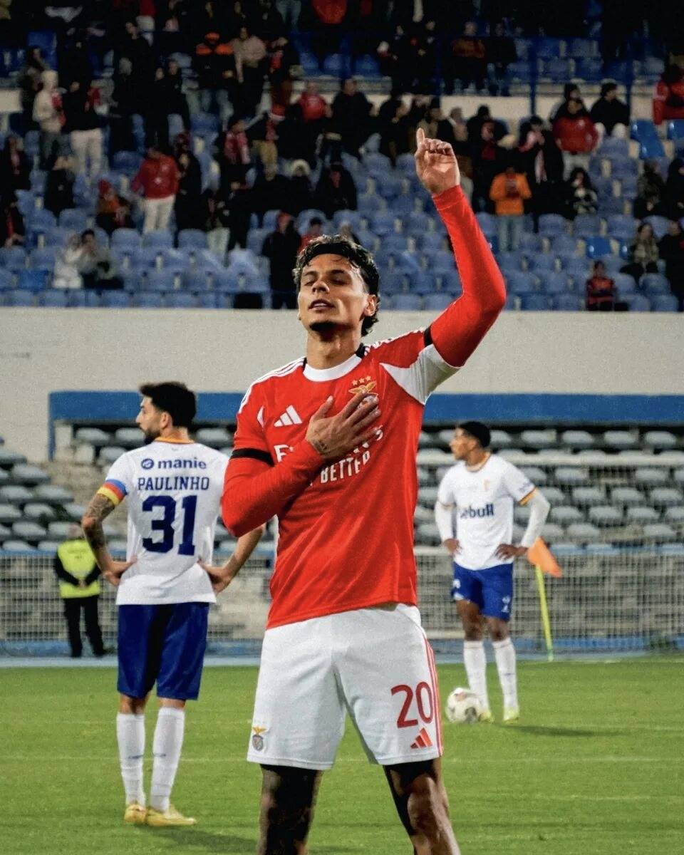 转折点！本菲卡再遭质疑，法甲转会期攻防权衡，赛场秩序良好，临场指挥获称赞(本菲卡最新消息最新)